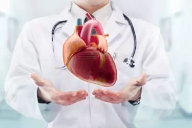 best hospital for echo test in Katihar, best doctor for echo test in Katihar, cost of echo test in Katihar